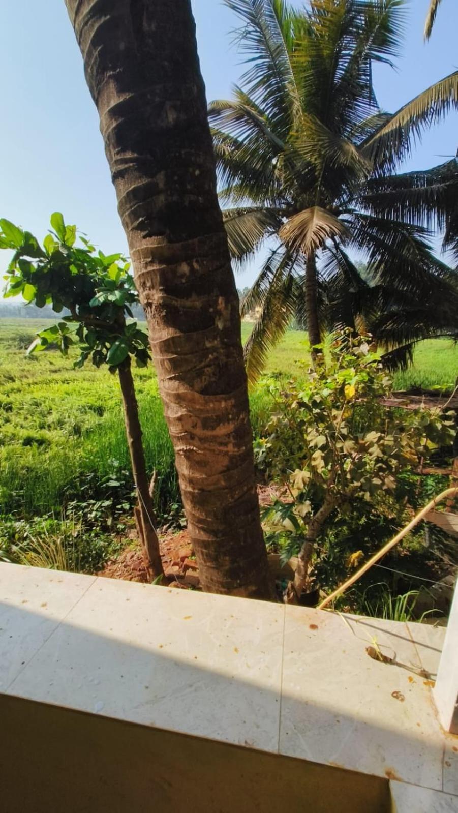 Green Field View Hotel Candolim Luaran gambar